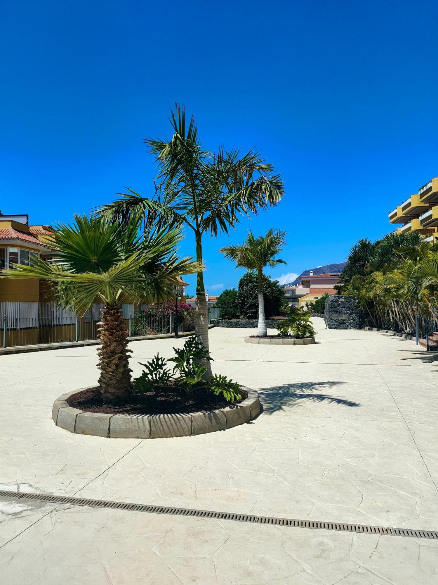 Belvedere Penthouse Puerto de Santiago  Exteriör bild